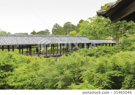 Kyoto Tofukuji Tsutenobashi Kyoto Tofukuji Tsutenobashi 35465046