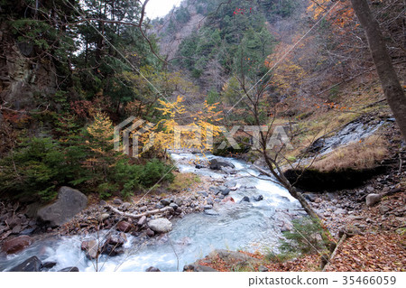 日光市川津湯澤 35466059