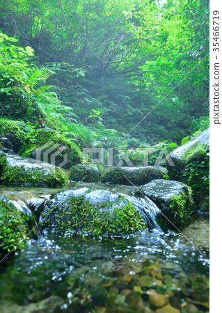Aoi no Mori (Niigata Prefecture) 35466719
