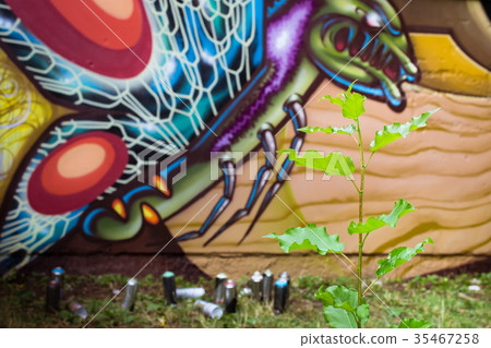 Graffiti on the wall 35467258
