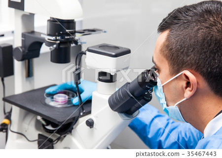 Male scientist looking at the microscope Male scientist looking at the microscope 35467443