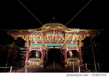 Nikko Sanwa Odera Daisen-in Yashamon lights up 35467535