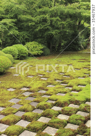 Kyoto Tofukuji Temple in Kochimatsu 35467937
