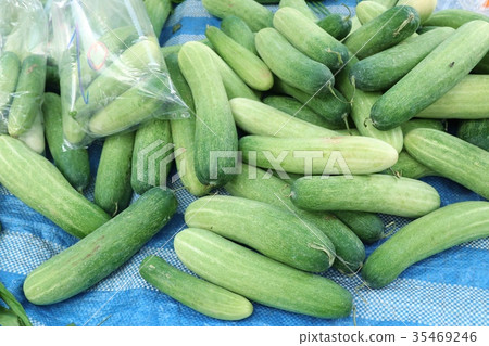 cucumber at street food cucumber at street food 35469246