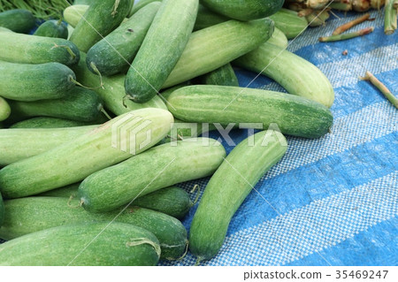 cucumber at street food 35469247