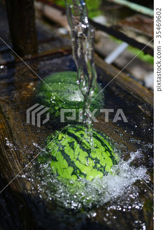 一個西瓜 35469602