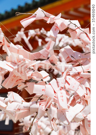 Heian Jingu Shrine Sakura Mikuji Sakyo Ward, Kyoto City, Kyoto Prefecture *Photographed in April 2017 35469840