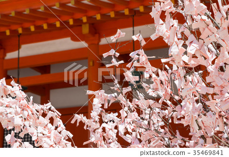 京都府京都市平安神宮櫻花櫻禦堂左京區*攝於2017年4月 35469841