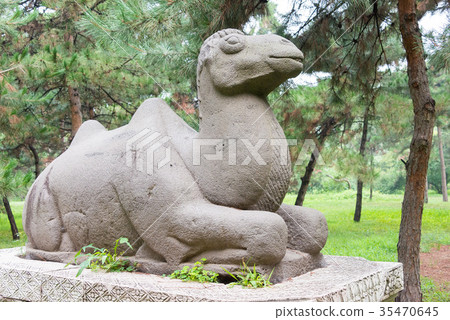 世界遺產清風嶺(銅陵公園)中國遼寧省沉陽市 世界遺產清風嶺(銅陵公園)中國遼寧省沉陽市 35470645