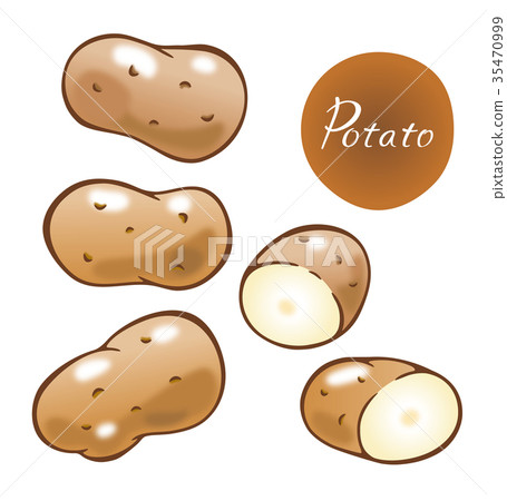 土豆 土豆 35470999