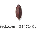 可可 35471401