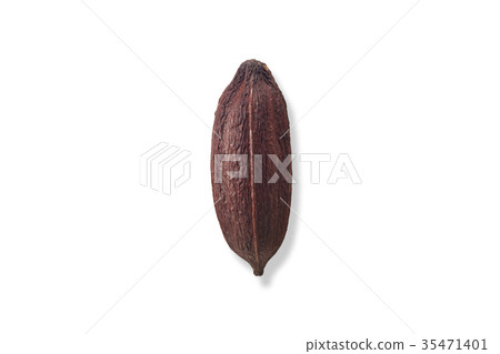 Cacao Cacao 35471401