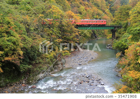 Tadami line of autumn leaves Tadami line of autumn leaves 35471908