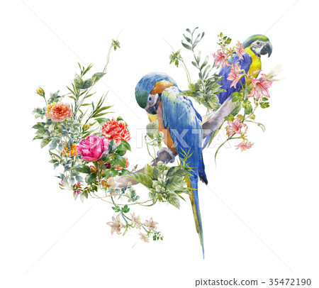 watercolor painting with bird and flowers on white 35472190