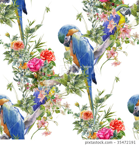 watercolor painting with bird and flowers on white watercolor painting with bird and flowers on white 35472191