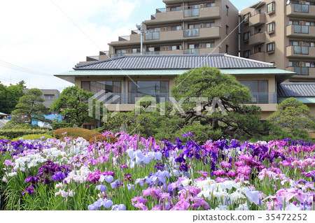 Horikiri iris garden 35472252