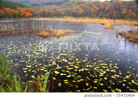 Kannonuma,福島縣秋葉 Kannonuma,福島縣秋葉 35472464