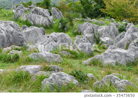 秋吉台的風景 秋吉台的風景 35473650