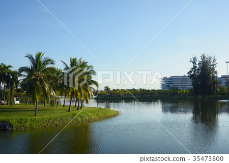 Scenery of the public park in evening Scenery of the public park in evening 35473800