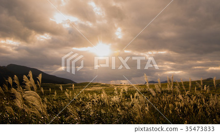 Hagi plateau at dusk Hagi plateau at dusk 35473833