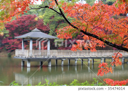 愛知縣岡崎市東公園的紅葉 35474014