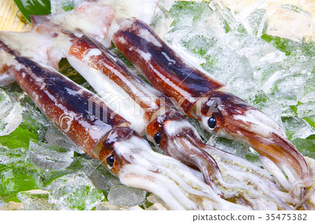 Surmeika食品成分 Surmeika食品成分 35475382