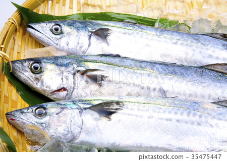 Sawara成分 Sawara成分 35475447