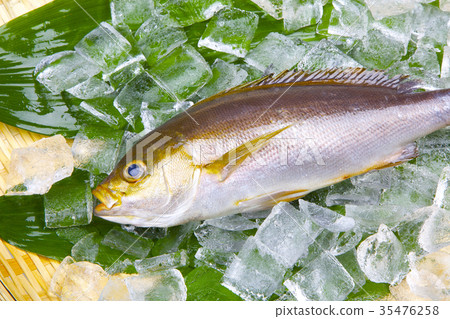 Isaki Foodstuff 35476258