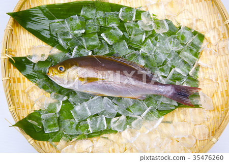 Isaki Foodstuff 35476260