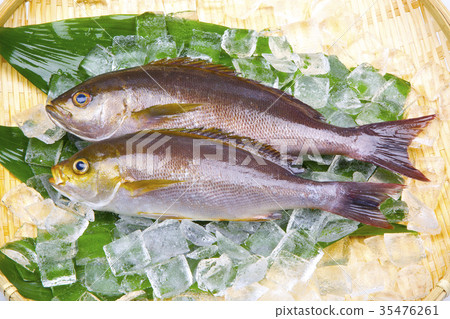 Isaki Foodstuff Isaki Foodstuff 35476261