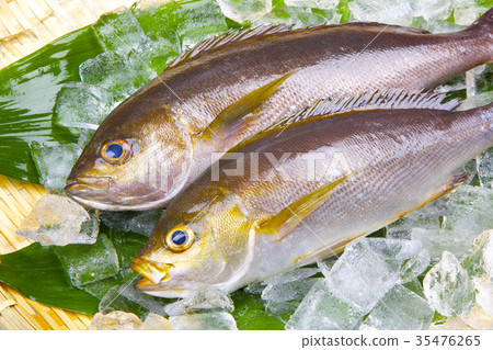 Isaki Foodstuff 35476265