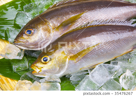 Isaki Foodstuff Isaki Foodstuff 35476267