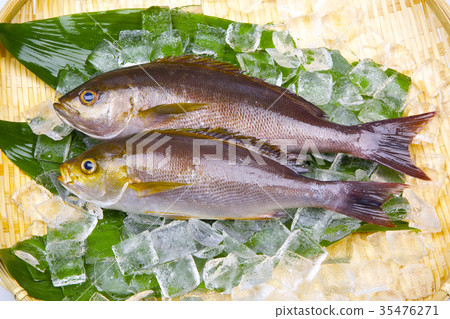 Isaki Foodstuff 35476271