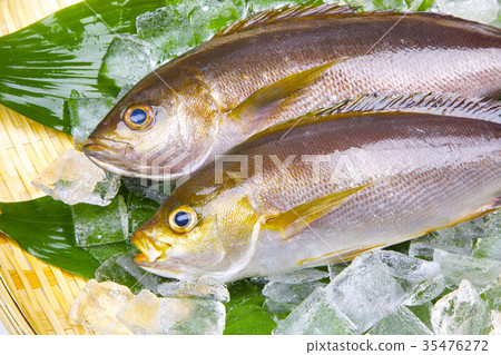 Isaki Foodstuff 35476272