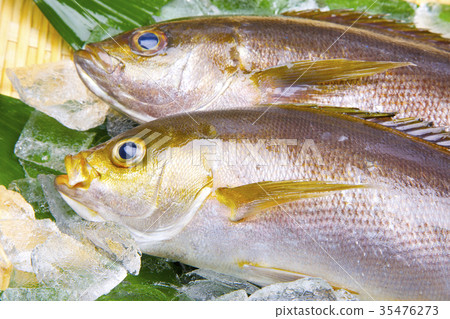 Isaki Foodstuff 35476273