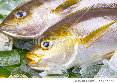 Isaki Foodstuff 35476278