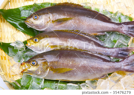 Isaki Foodstuff 35476279