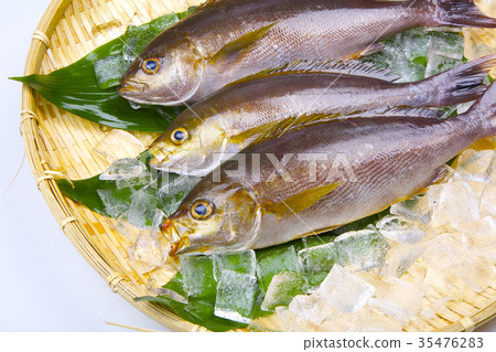 Isaki Foodstuff 35476283