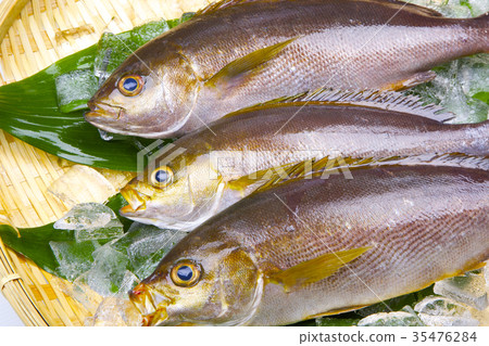 Isaki Foodstuff Isaki Foodstuff 35476284