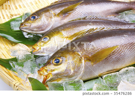 Isaki Foodstuff Isaki Foodstuff 35476286