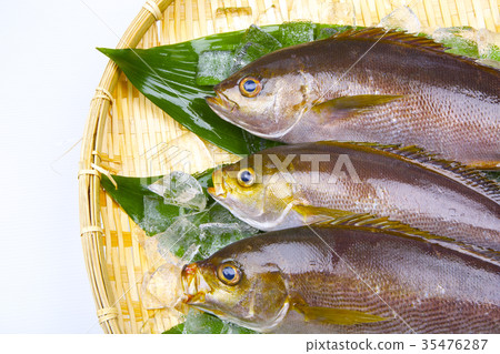 Isaki Foodstuff 35476287