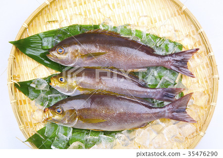 Isaki Foodstuff 35476290