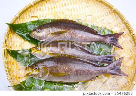 Isaki Foodstuff 35476293