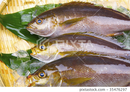 Isaki Foodstuff 35476297