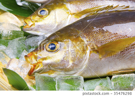 Isaki Foodstuff 35476298