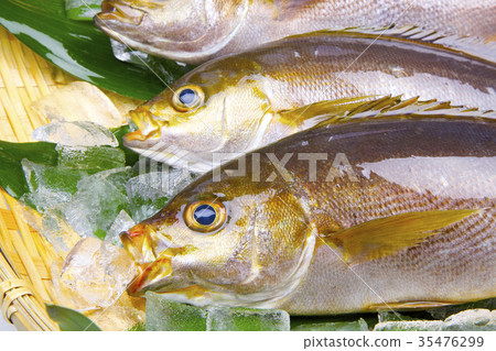 Isaki Foodstuff 35476299