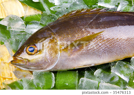 Isaki Foodstuff Isaki Foodstuff 35476313