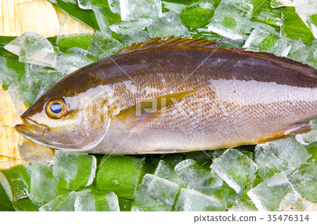 Isaki Foodstuff Isaki Foodstuff 35476314