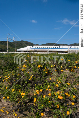 Tokaido Shinkansen N700 series Tominkan field 35476838