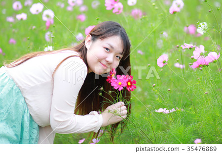 波斯菊領域，花田和少婦 35476889